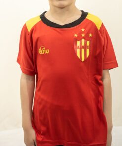 REMERA ENTRENAMIENTO NEUQUEN